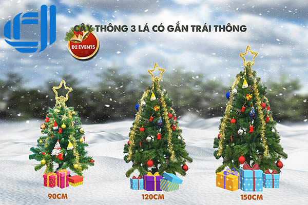 Top 5 cây thông được ưa chuộng vào giáng sinh 2019