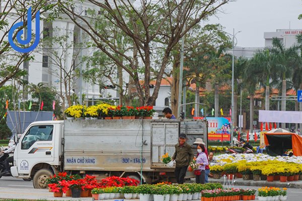 lễ hội đường hoa đà nẵng