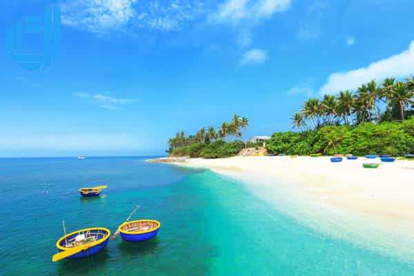 Tour Team Building Đà Nẵng Sự Gắn Kết Cho Một Tập Thể Vững Mạnh